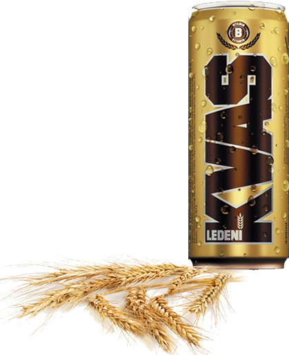 Ledeni Kvas